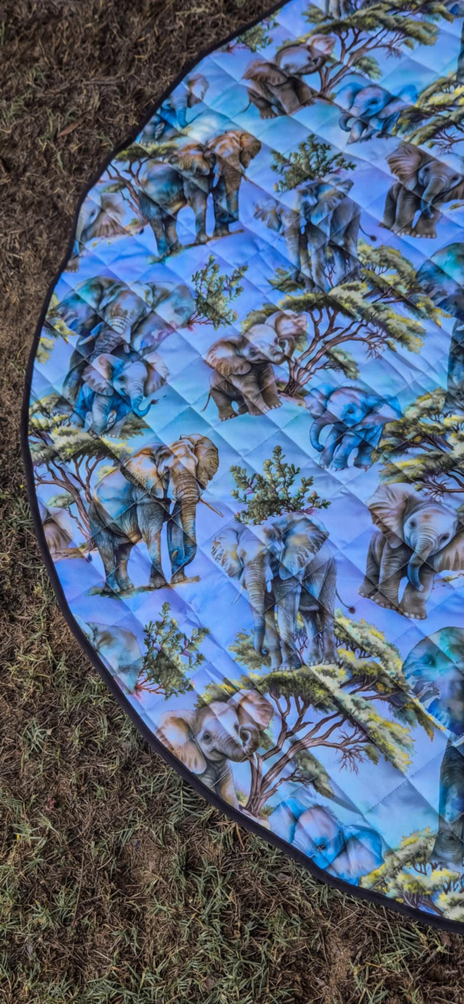 The Big Step Plush Mat