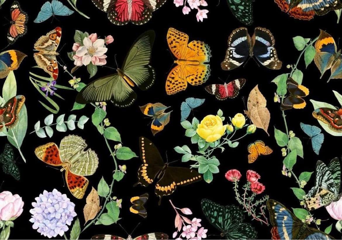 Hope Soars Nursing Pads