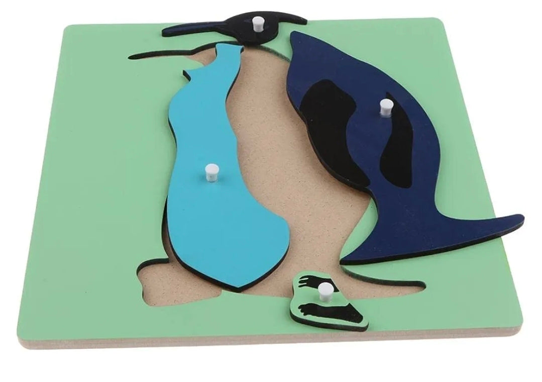 Morphing- Stubb puzzle