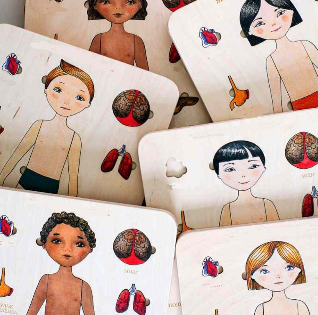 Human Anatomy Wooden Puzzle
