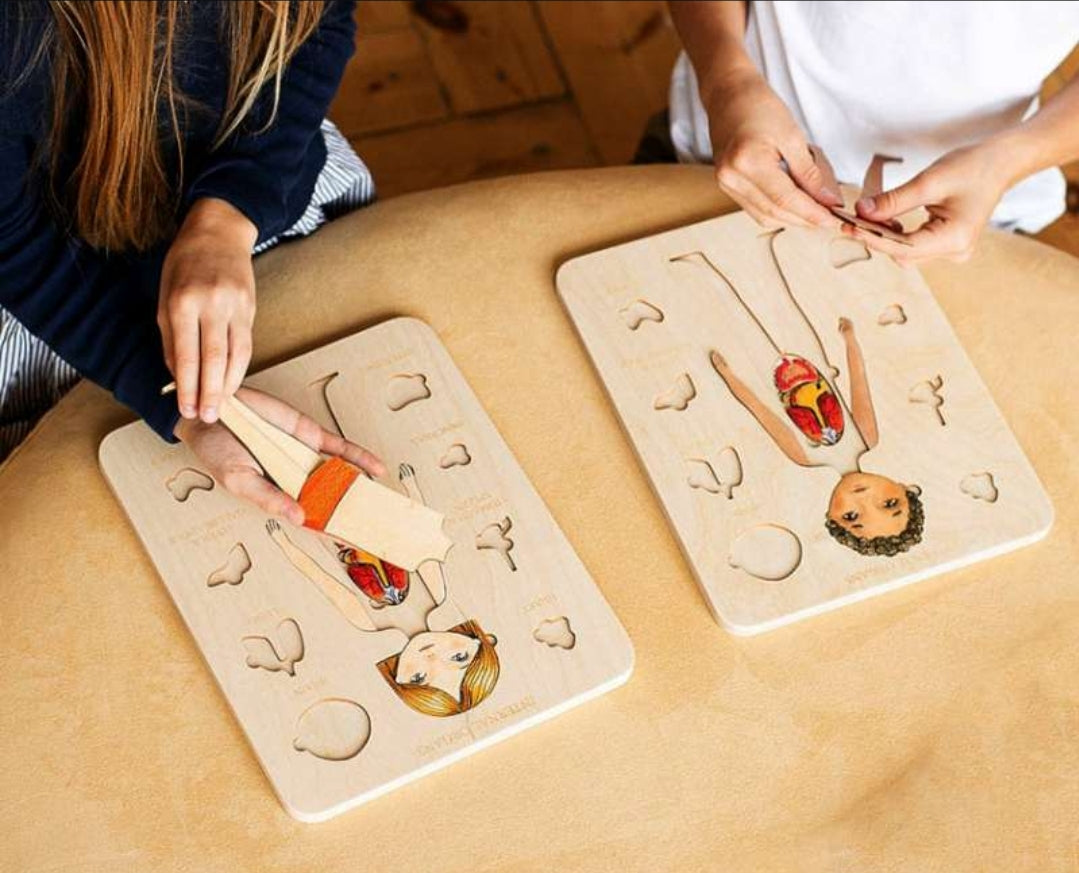 Human Anatomy Wooden Puzzle