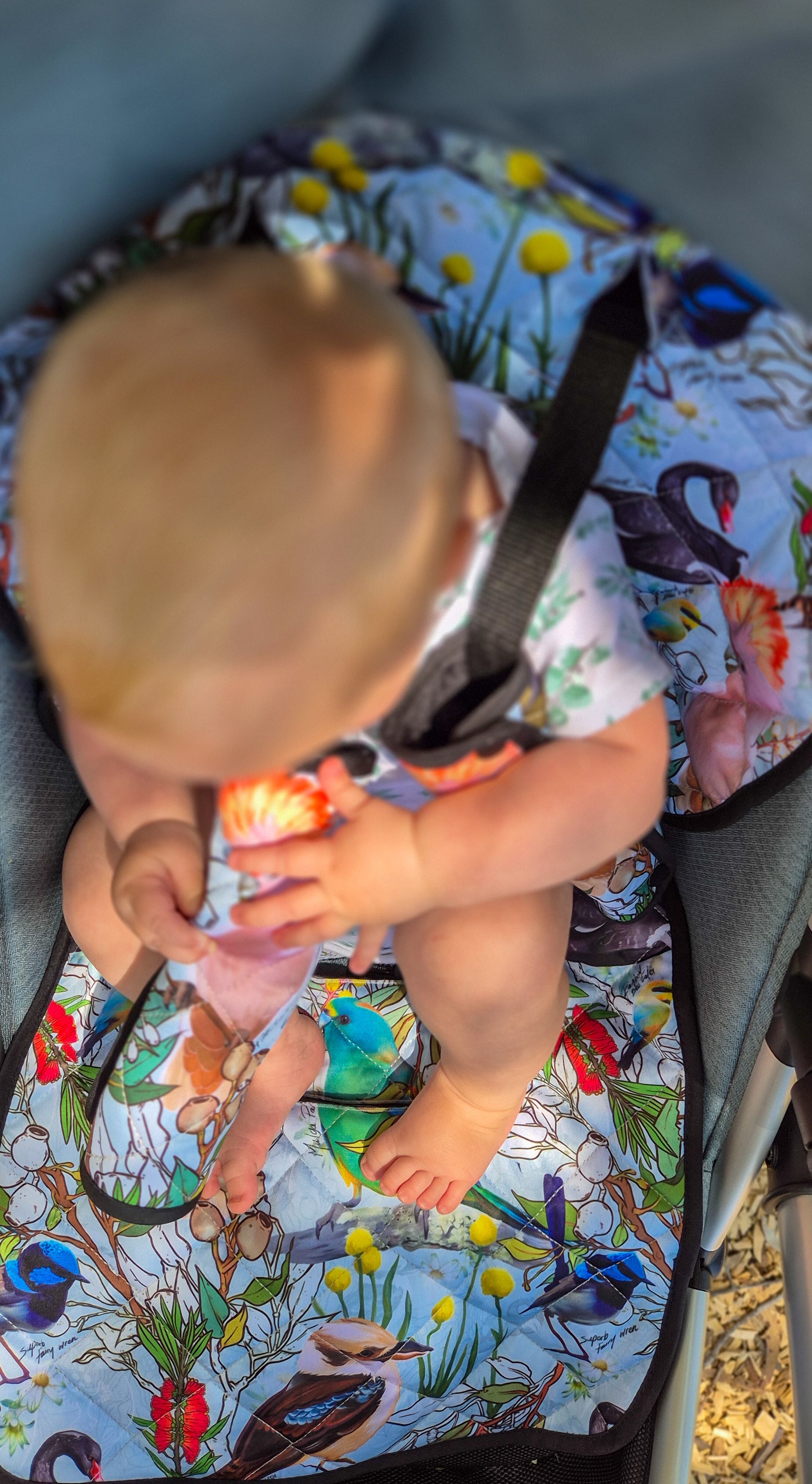Wings of Oz Universal Pram Liner