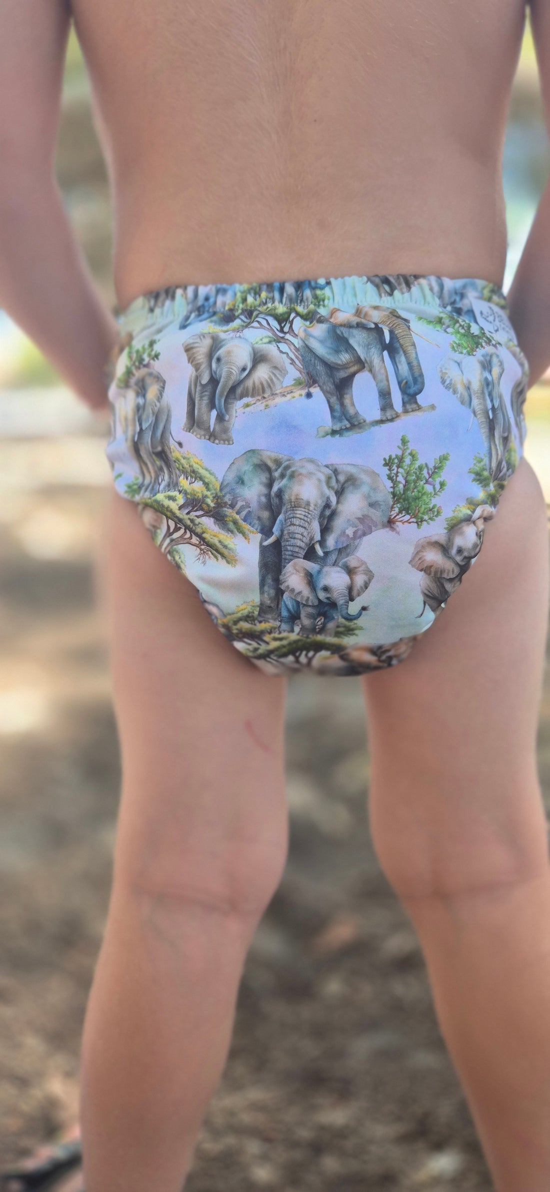 The Big Step Cloth Day Nappy