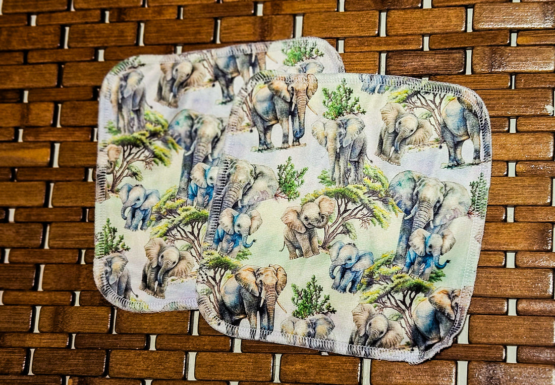 The Big Step 5pk Cloth Wipes