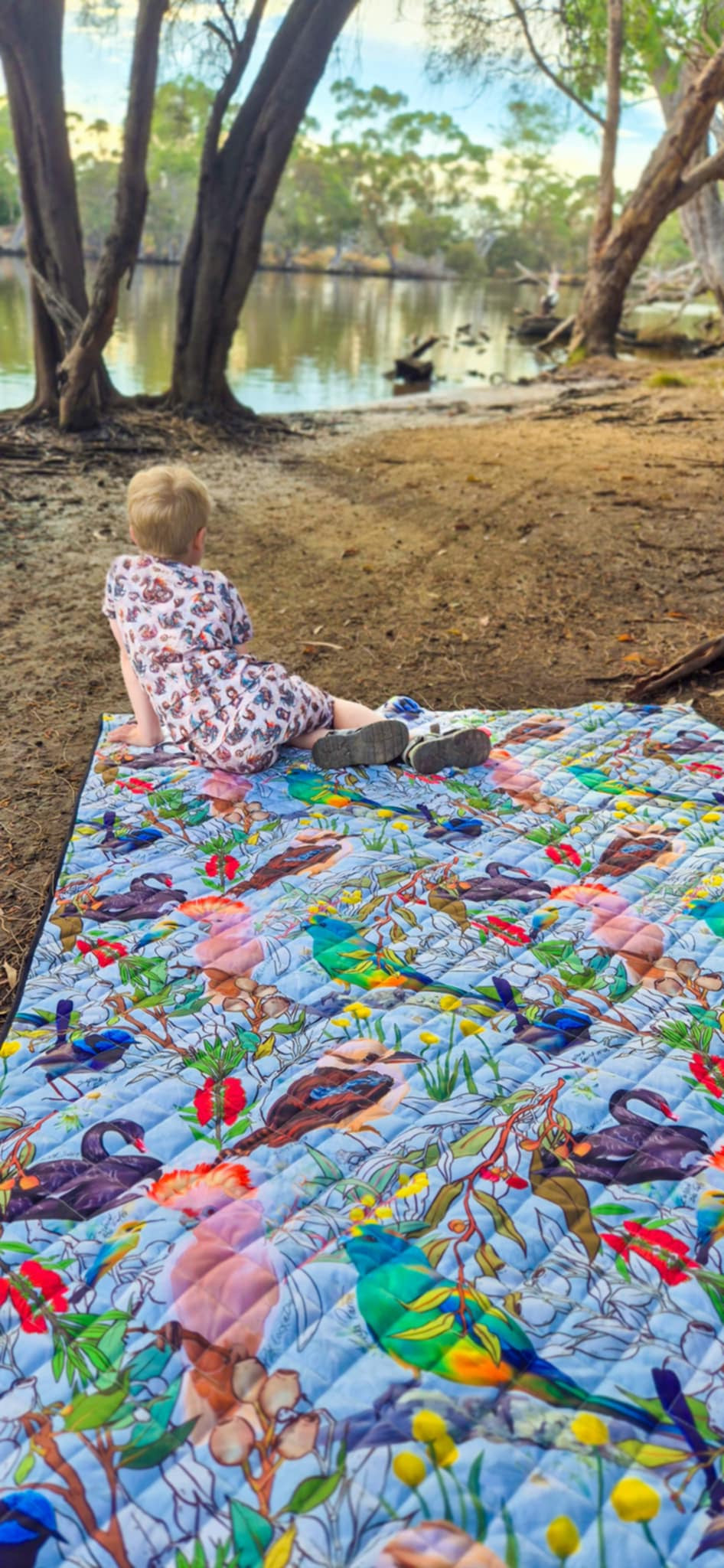 Wings Of Oz Picnic Plush Mat
