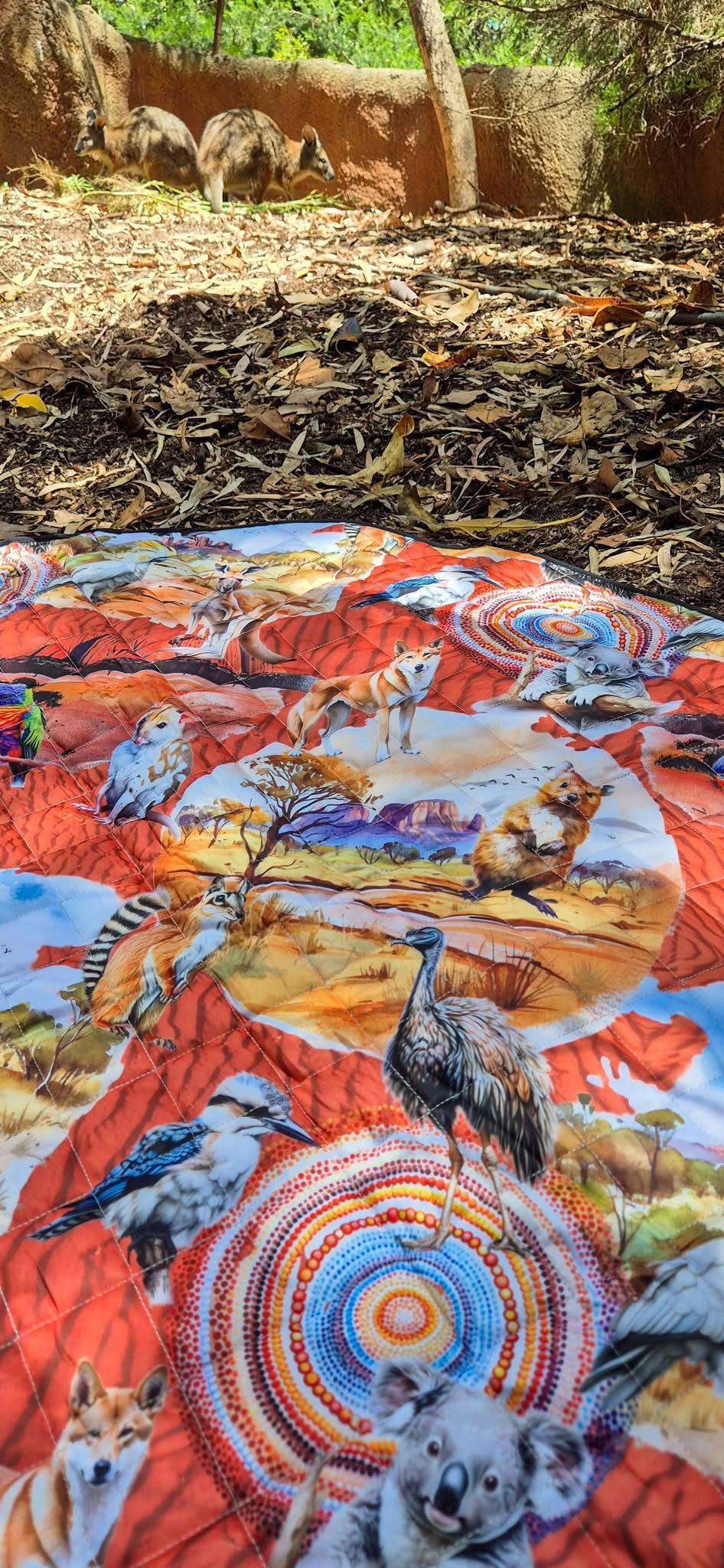 Paws Down Under Picnic Plush Mat