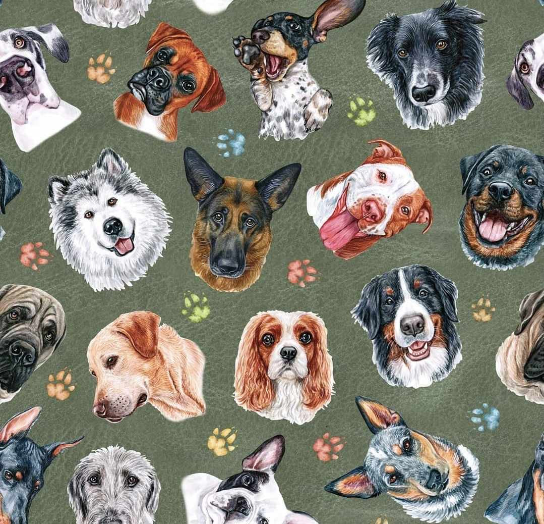 So Pawfect Picnic Plush Mat