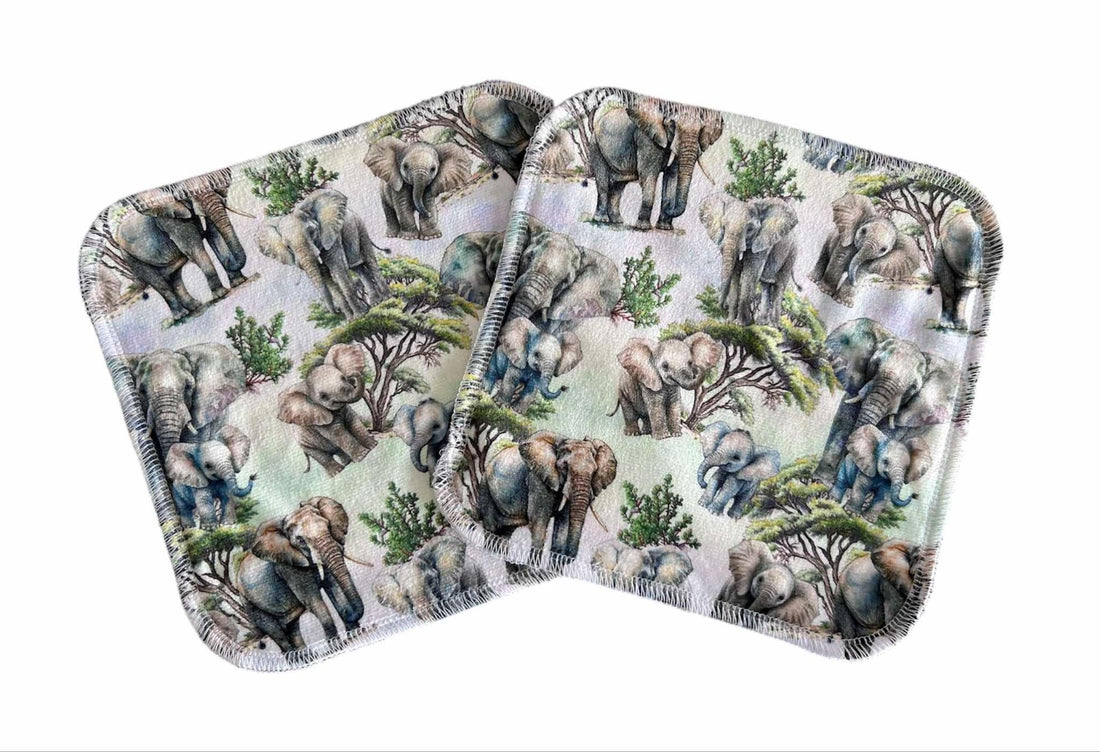 The Big Step 5pk Cloth Wipes