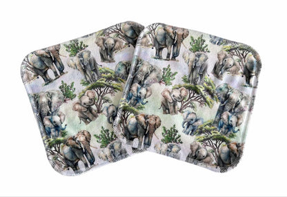 The Big Step Cloth Wipes