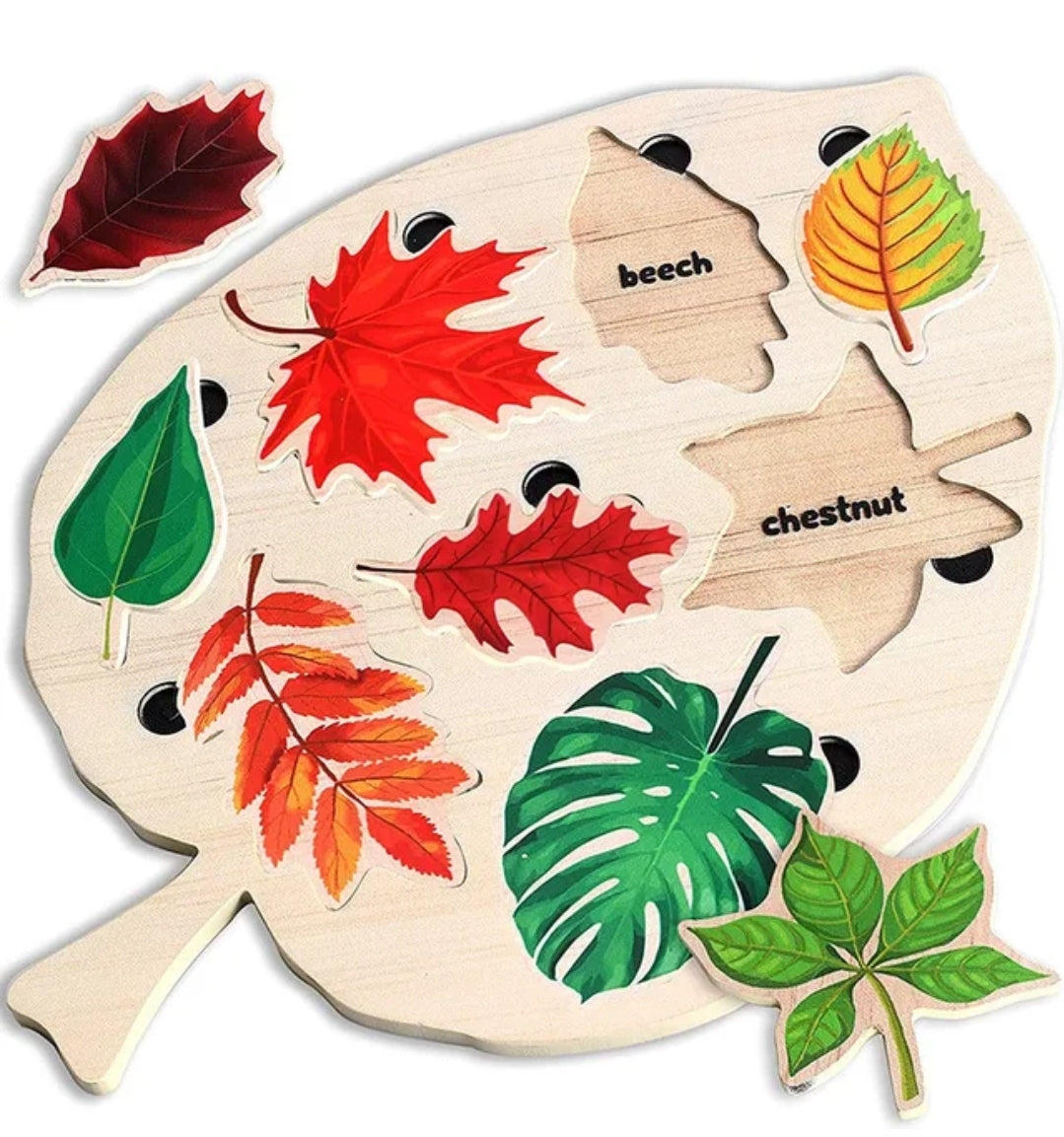 Puzzle of Leaves