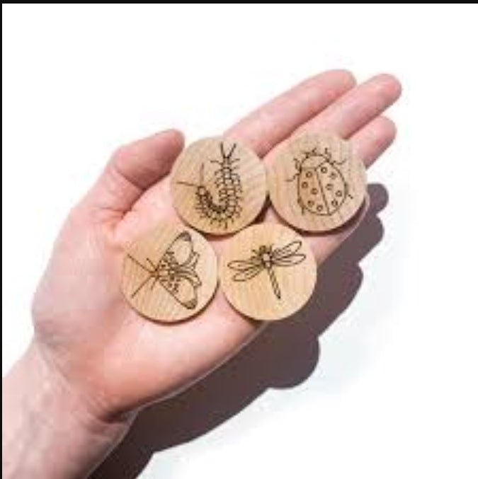 Insect Memory Discs