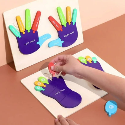 Montessori hands &amp; feet Learning board puzzle