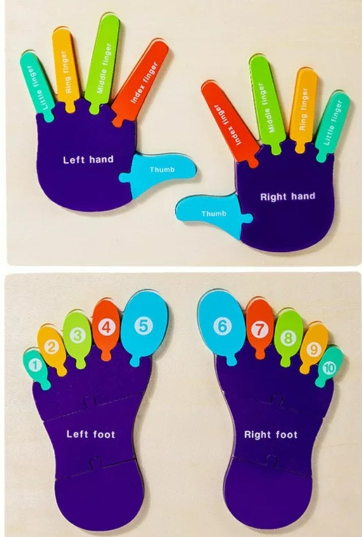 Montessori hands & feet Learning board puzzle