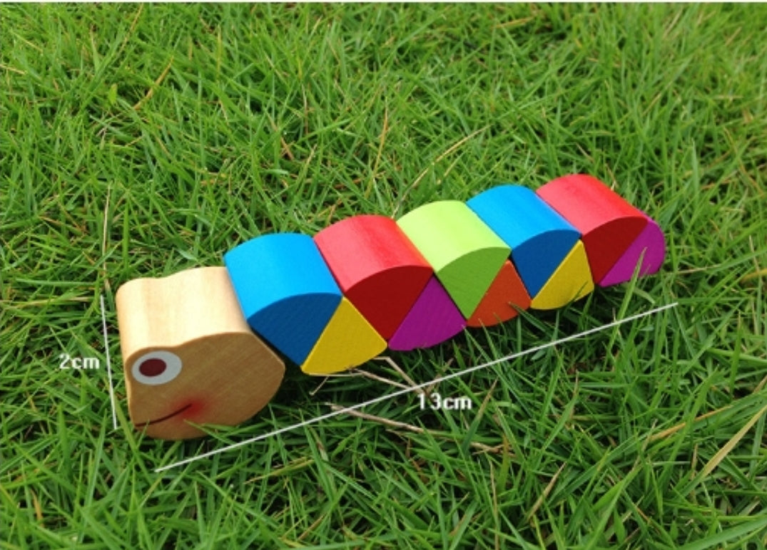 Morphing- Wooden Caterpillar/ Alligator