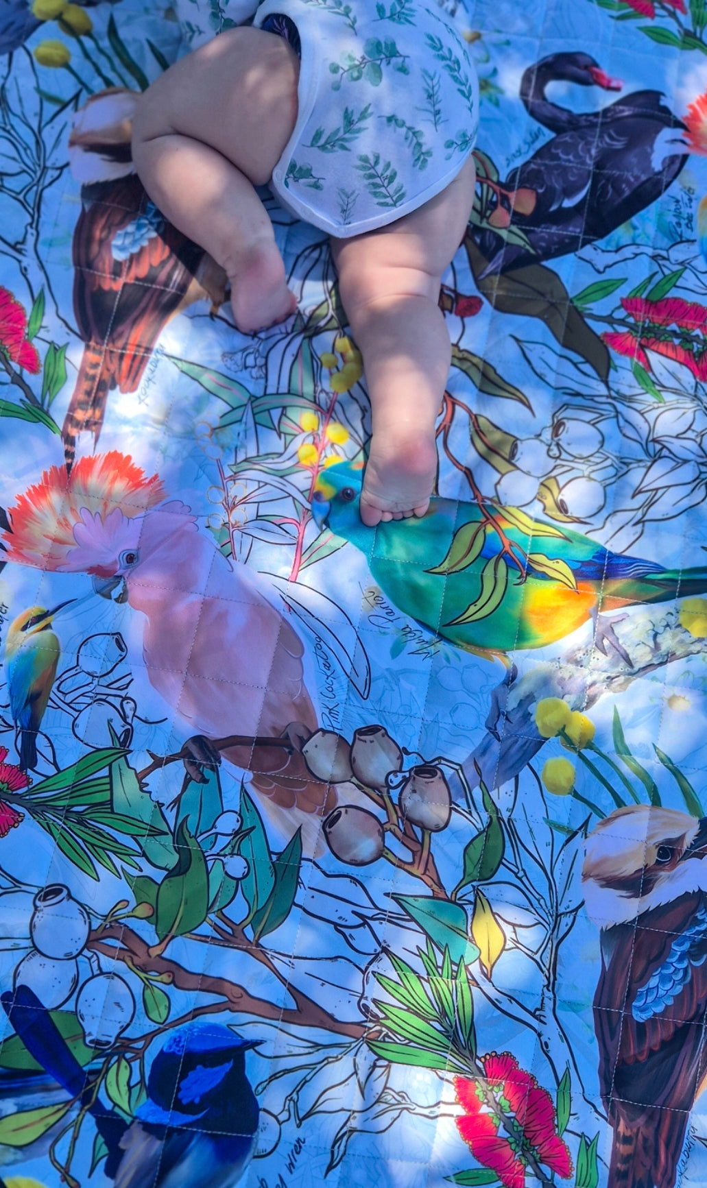 Wings of Oz Plush Mat