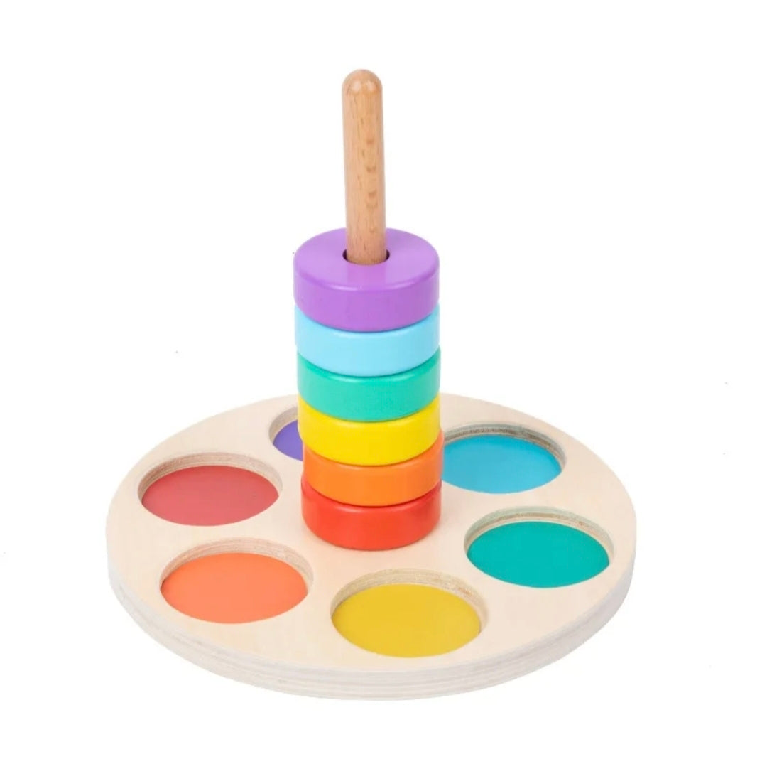 Montessori 6 Ring Column Stacker Colour Sorter