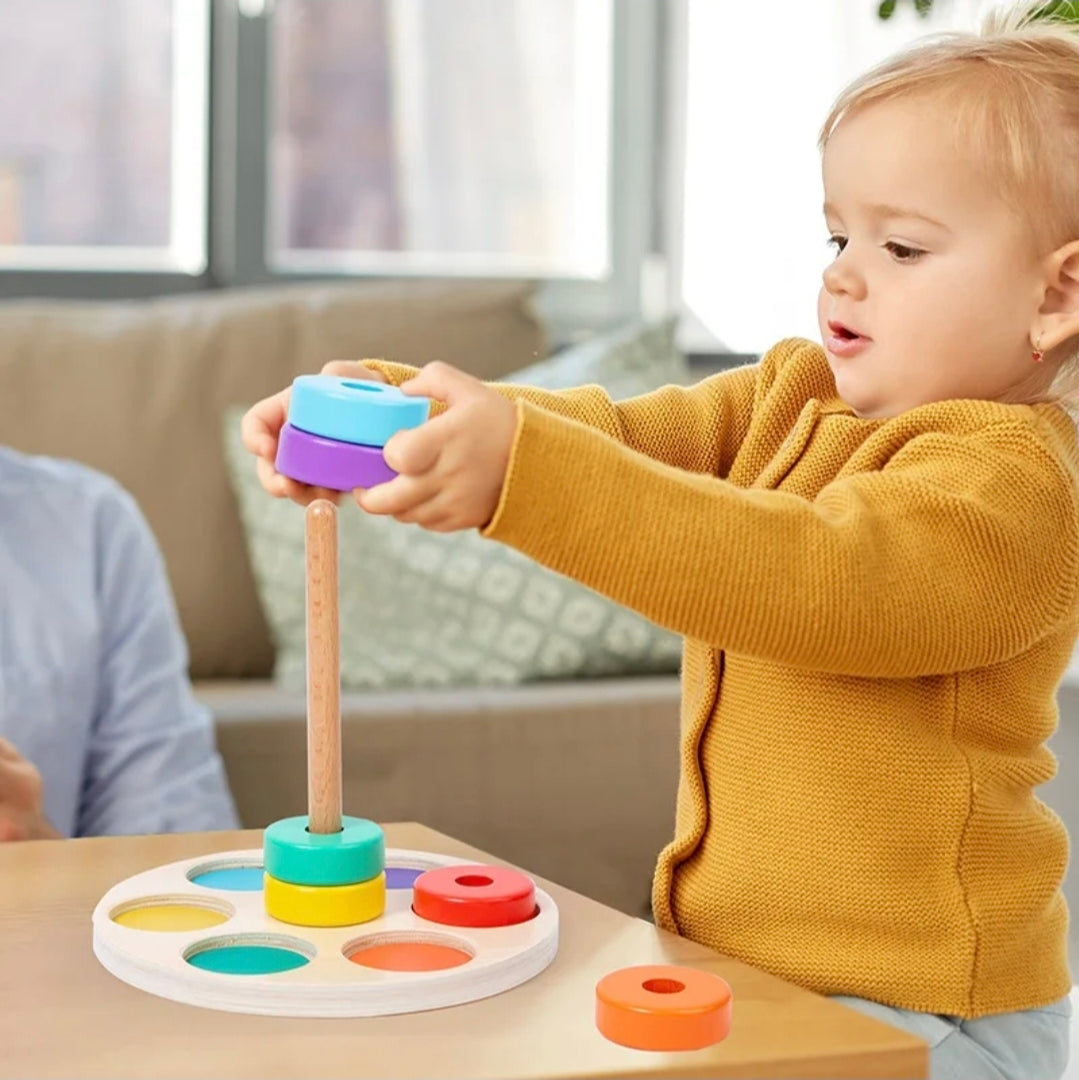 Montessori 6 Ring Column Stacker Colour Sorter