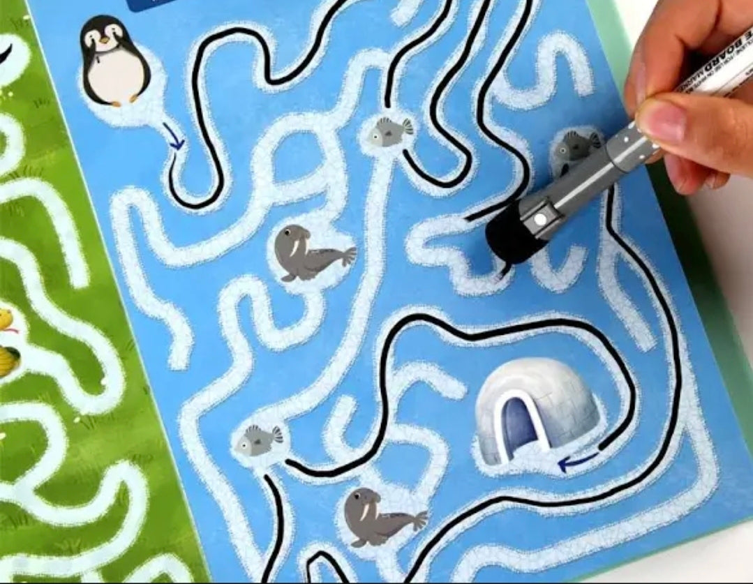 Morphing- Maze book