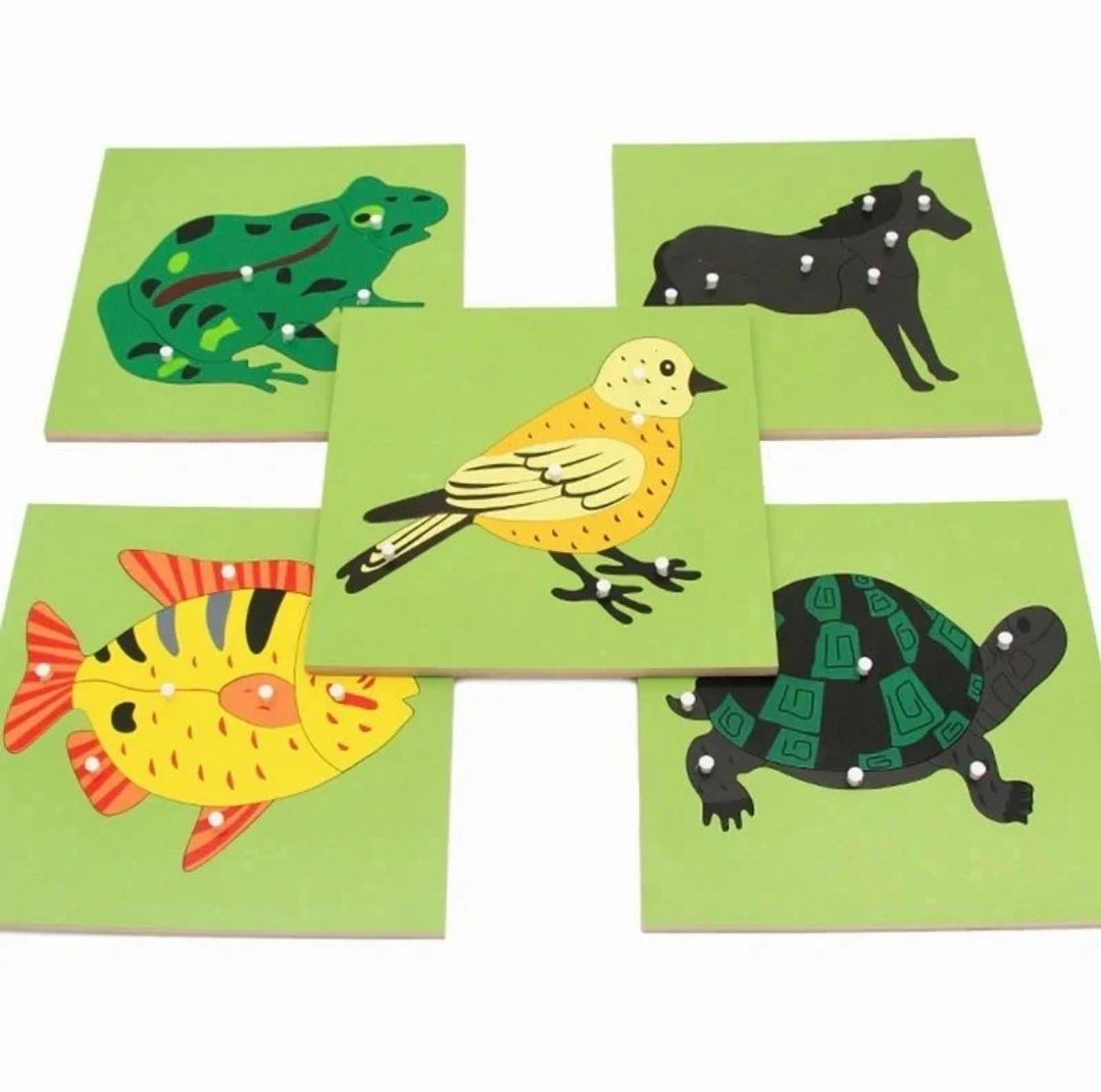 Morphing- Stubb puzzle