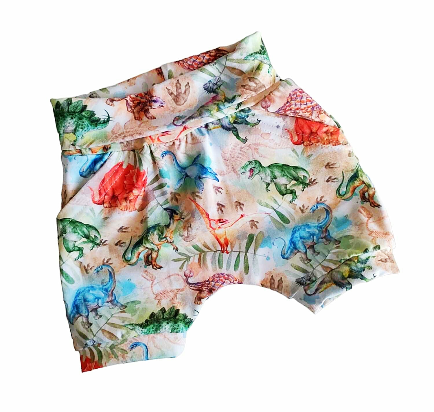 Goodness Cretaceous Me Handmade Shorts