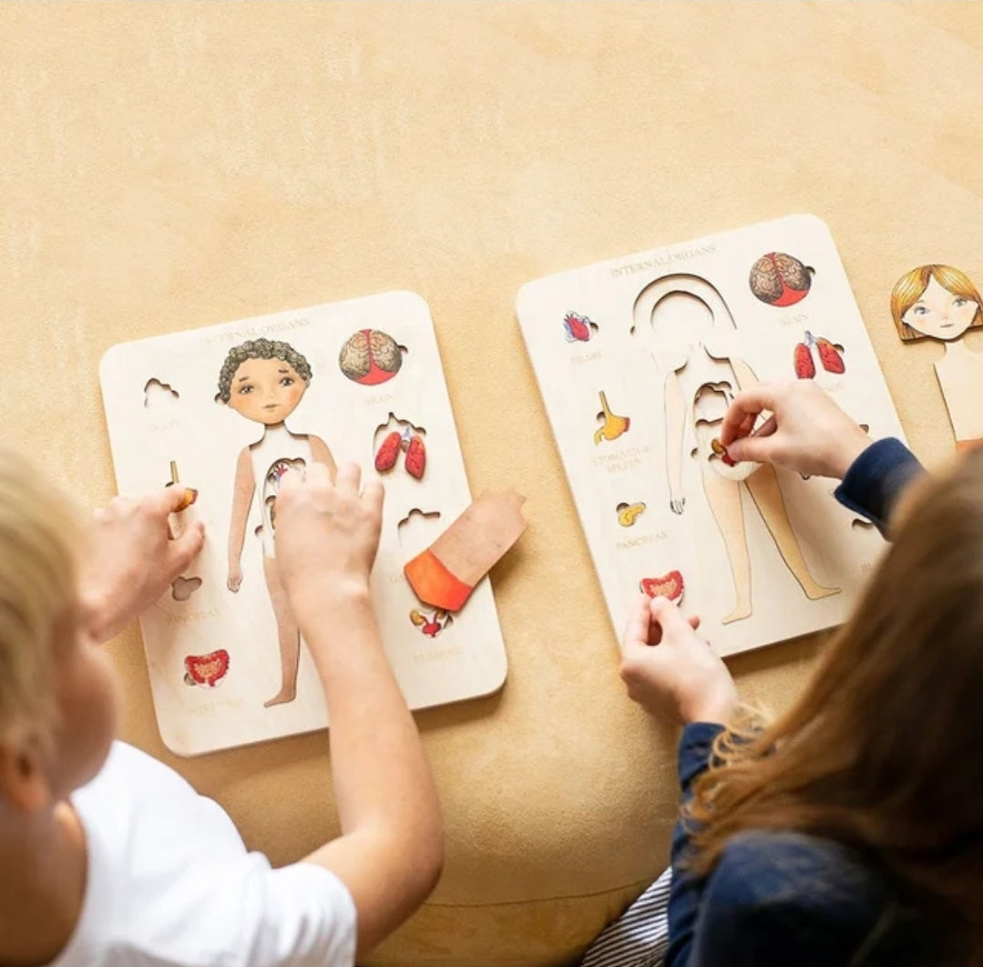 Human Anatomy Wooden Puzzle