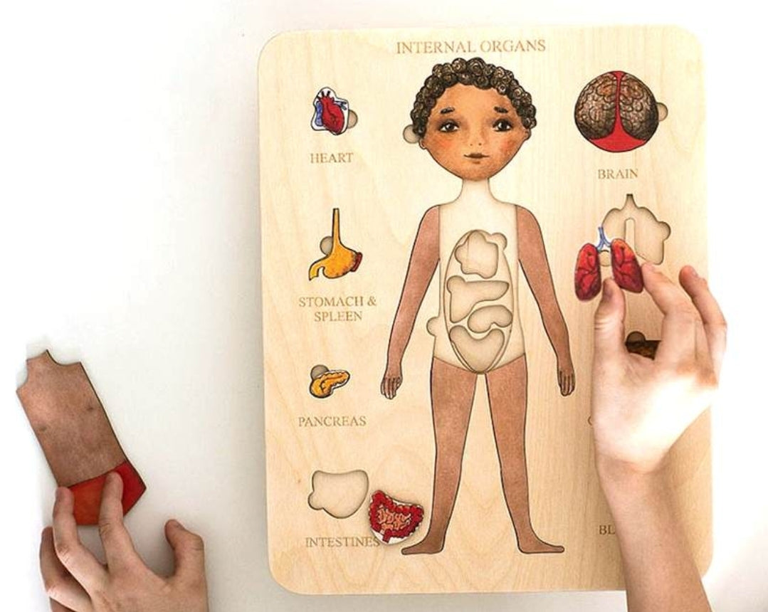 Human Anatomy Wooden Puzzle