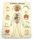 Human Anatomy Wooden Puzzle